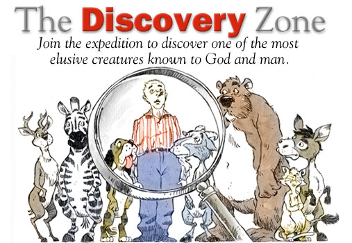 The Discovery Zone